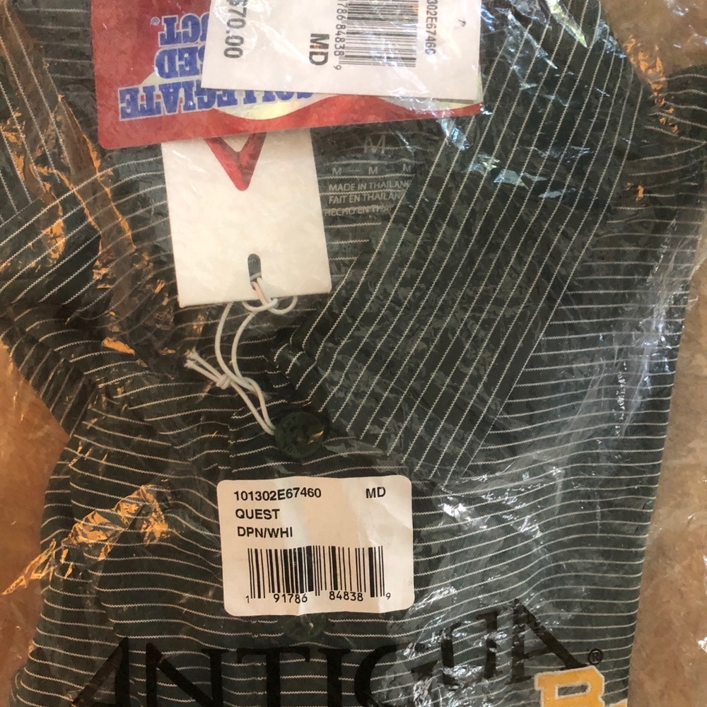 Baylor Button Polo Green Stripes